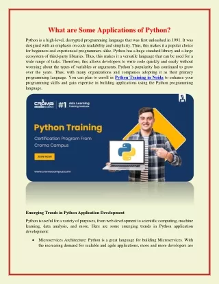 What are Some Applications of Python?
