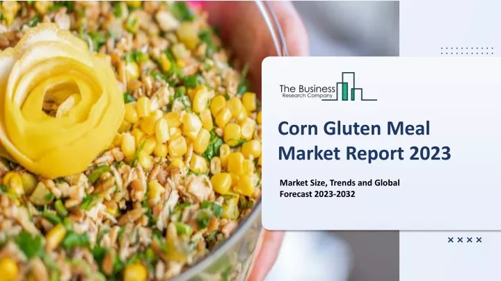 corn gluten meal market report 2023