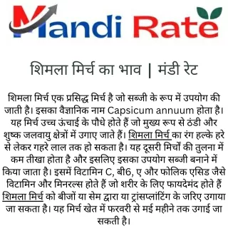 शिमला मिर्च का भाव - मंडी रेट