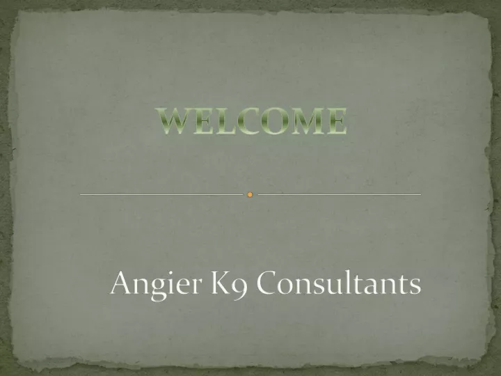 angier k9 consultants
