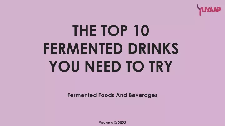 the top 10 fermented drinks you need to try