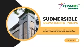 Best Submersible Dewatering Pumps Manufacturers