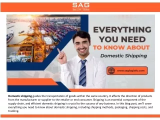 Everything You Need to Know About Domestic Shipping
