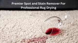 Premier Spot and Stain Remover For Professional Rug Drying
