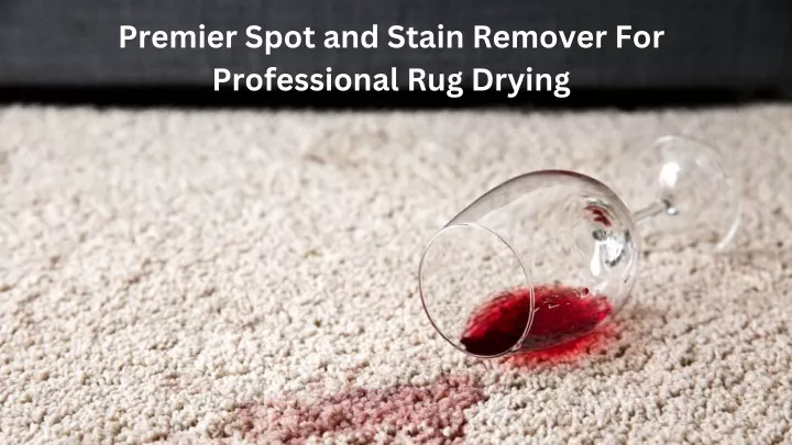 premier spot and stain remover for professional