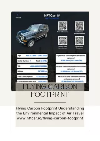 Flying Carbon Footprint