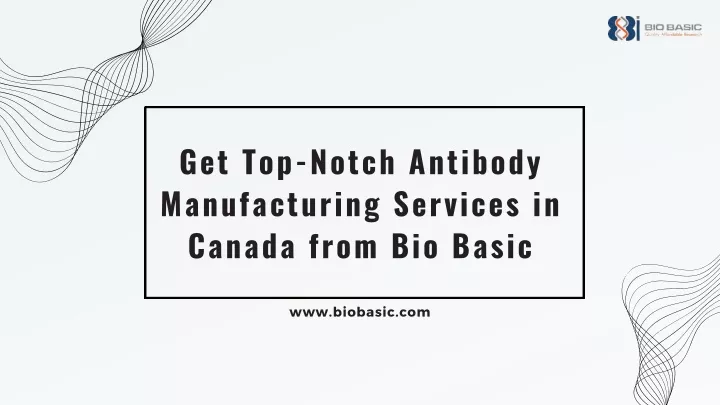 get top notch antibody manufacturing services