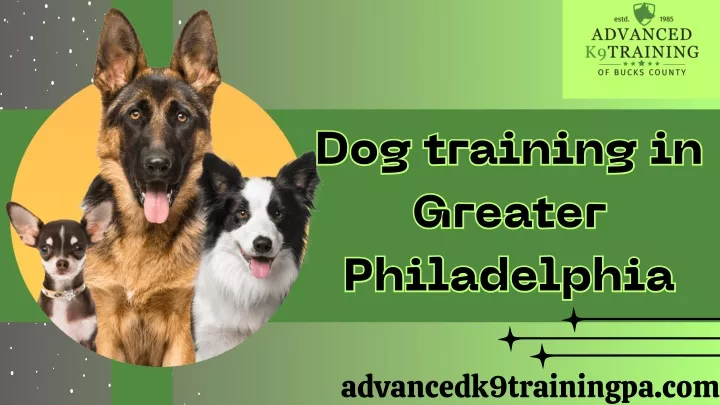 dog training in greater philadelphia philadelphia