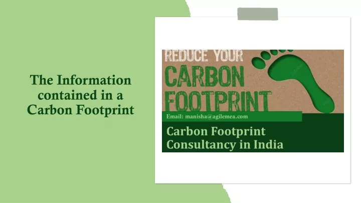 the information contained in a carbon footprint