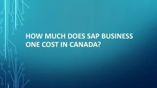 How Much Does SAP Business One Cost in Canada