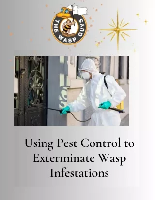 Using Pest Control to Exterminate Wasp Infestations