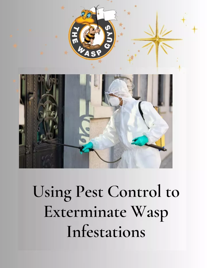 using pest control to exterminate wasp