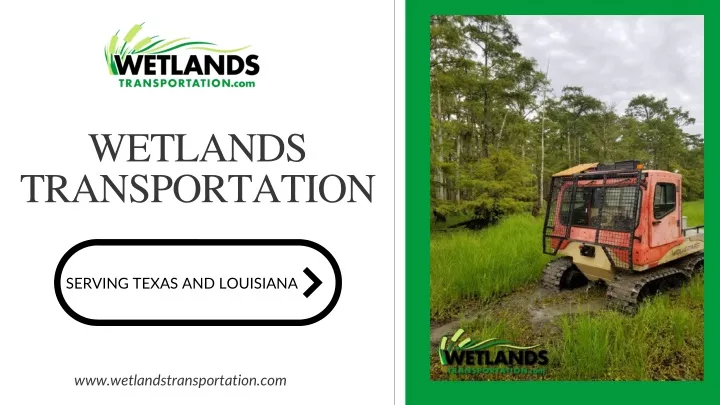 wetlands transportation