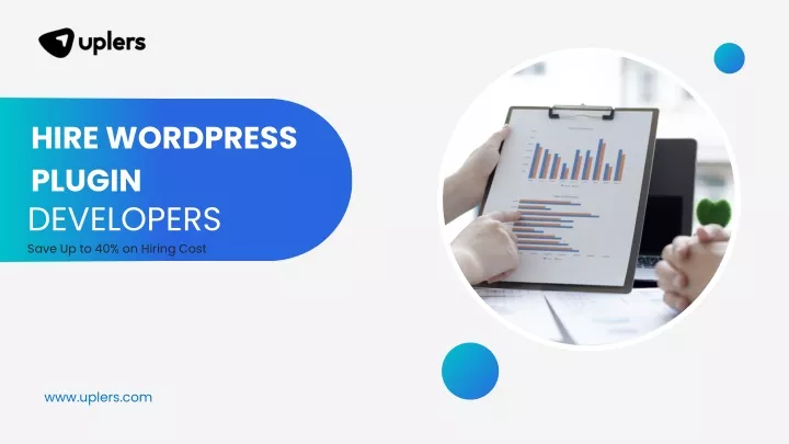 hire wordpress plugin developers save