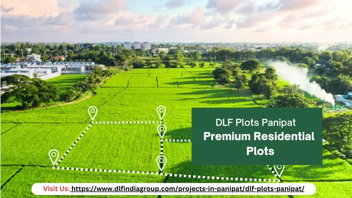 dlf plots panipat