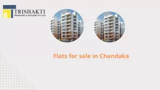 Flats for sale in Chandaka