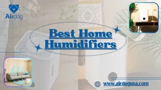 Buy The Best Home Humidifiers At An Affordable Price