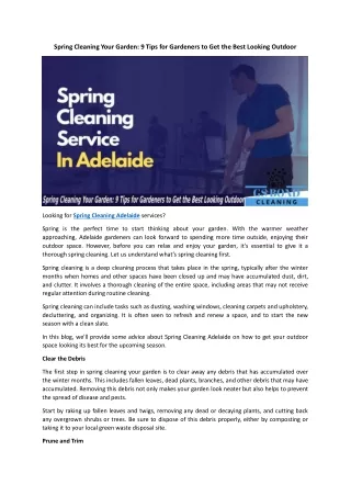 spring cleaning Adelaide