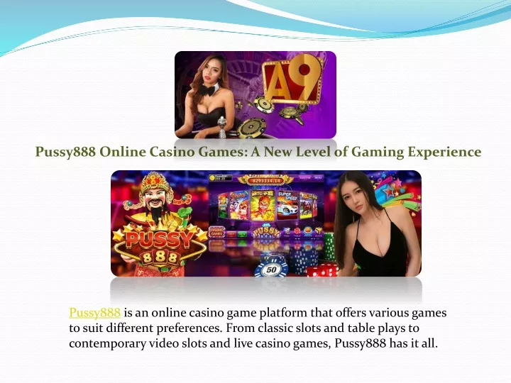 pussy888 online casino games a new level