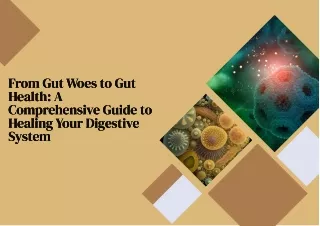 A Comprehensive Guide to Healing Your Digestive System