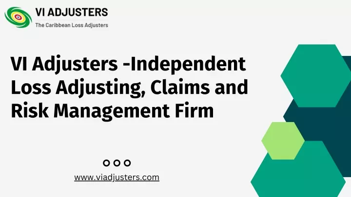 vi adjusters independent loss adjusting claims
