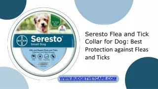Seresto Flea and Tick Collar for Dog Best Protection against Fleas and Ticks