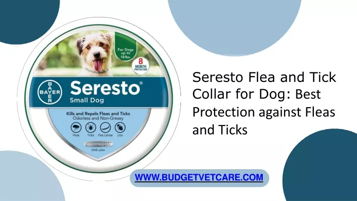 seresto flea and tick collar for dog best