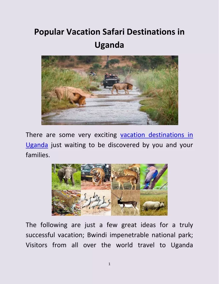 popular vacation safari destinations in uganda