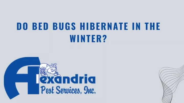 do bed bugs hibernate in the winter