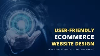 User-Friendly Ecommerce Website Design