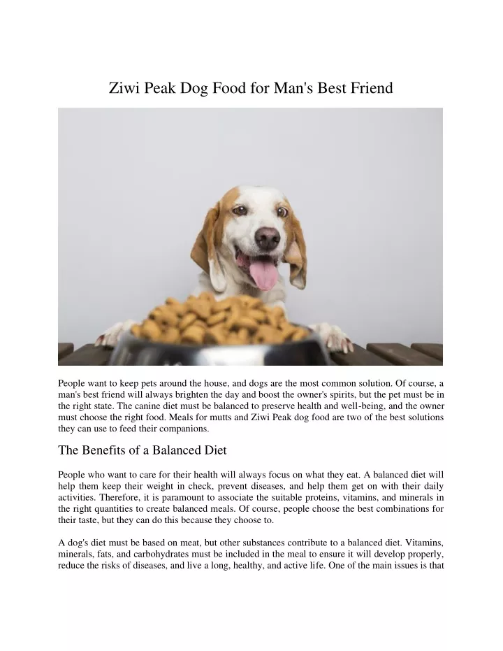 ziwi peak dog food for man s best friend