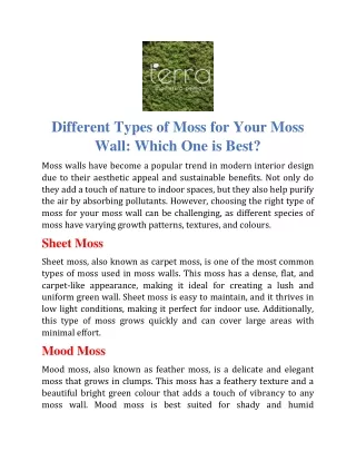 Different Types of Moss for Your Moss Wall Which One is Best