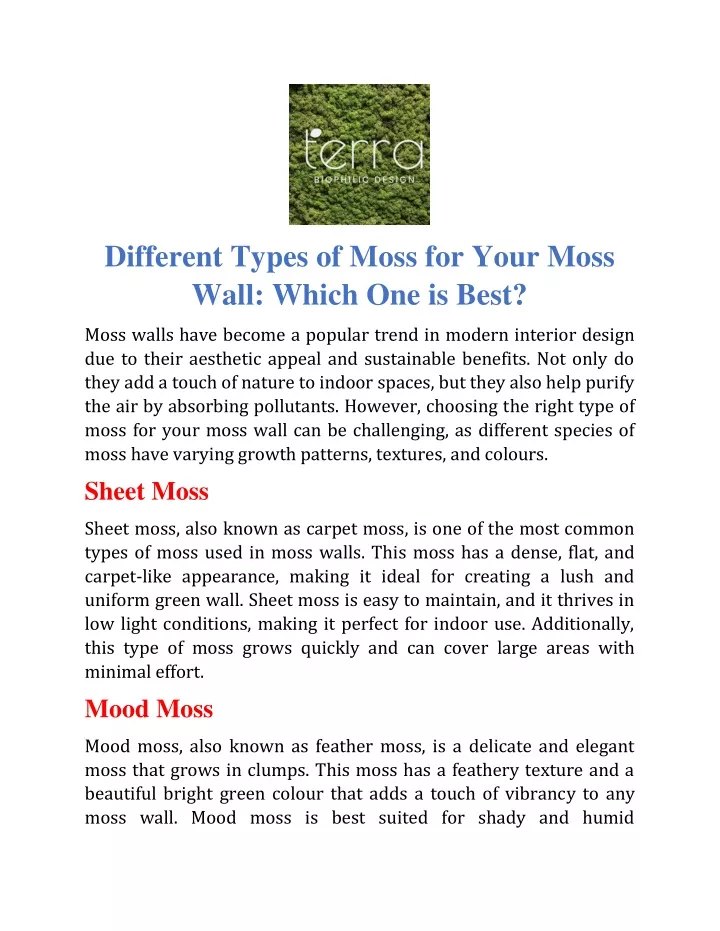 different types of moss for your moss wall which