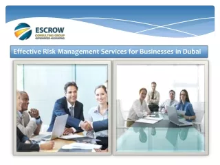 Effective Risk Management Services for Businesses in Dubai