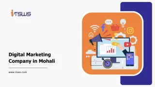 Best Digital Marketing Company in Mohali | ITSWS Technologies