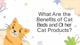 What Are the Benefits of Cat Beds and Other Cat Products