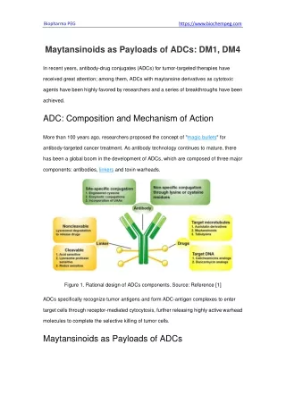 biopharma peg https www biochempeg com