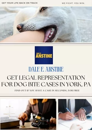 Get Legal Representation for Dog Bite Cases in York, PA