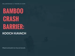 Bamboo Crash Barrier: Kooch Kavach