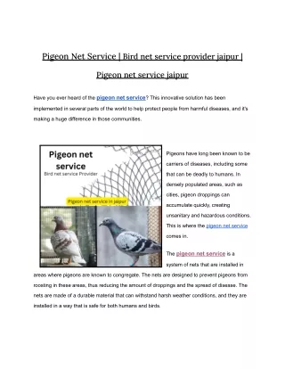 pigeon net service