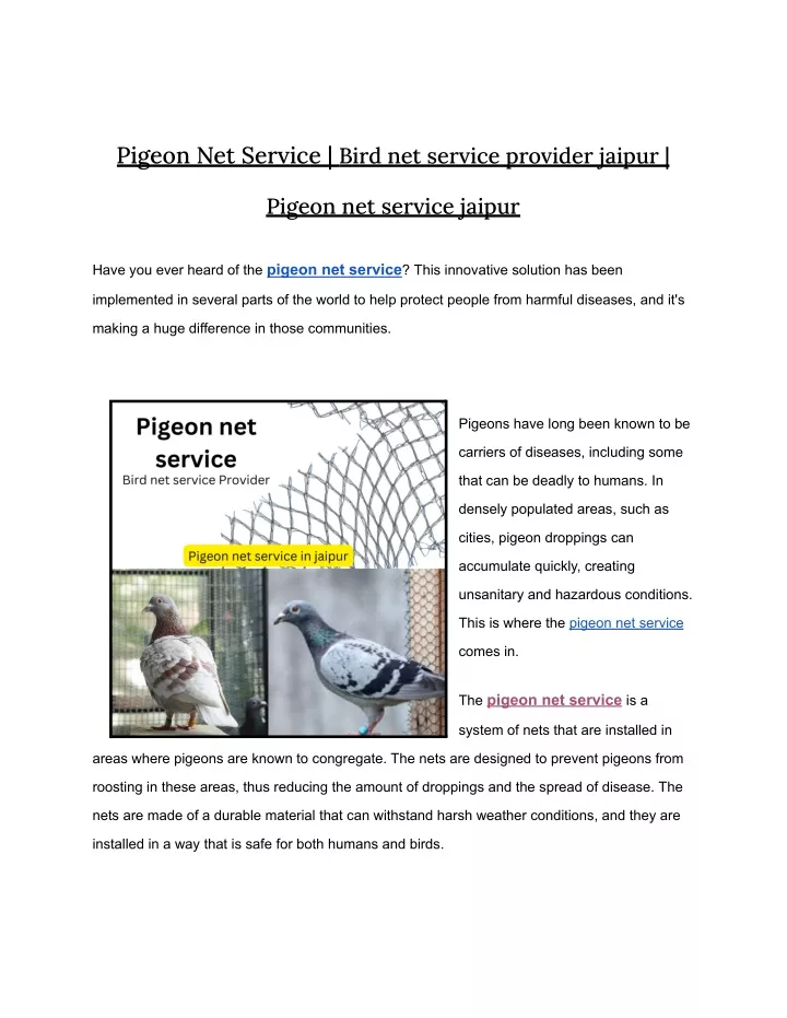 pigeon net service bird net service provider