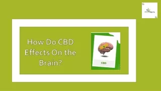 CBD Effects On the Brain