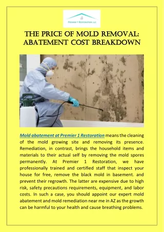 The Price of Mold Removal