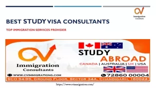 Best Study visa Consultants in Chandigarh