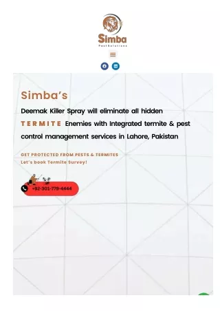 Termite control services in Lahore | simba pest solutions