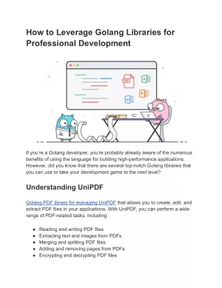 how to leverage golang libraries for professional