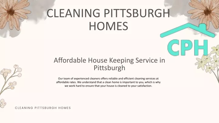 cleaning pittsburgh homes