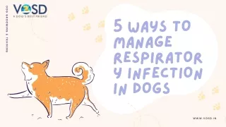 Respiratory Infections in Dogs: Everything You Need to Know
