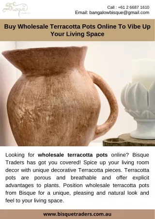 Buy Wholesale Terracotta Pots Online To Vibe Up Your Living Space