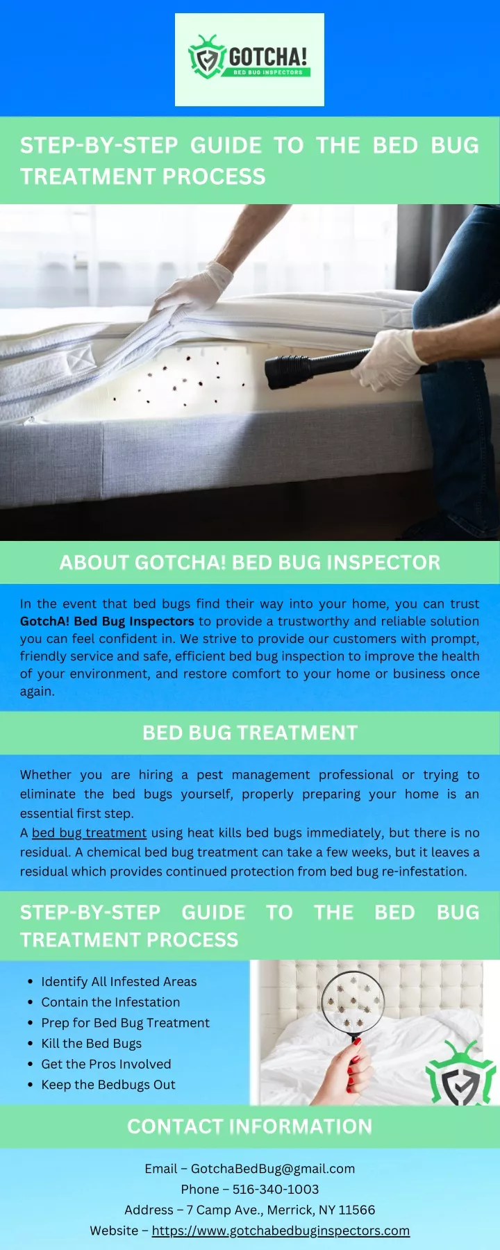 step by step guide to the bed bug treatment